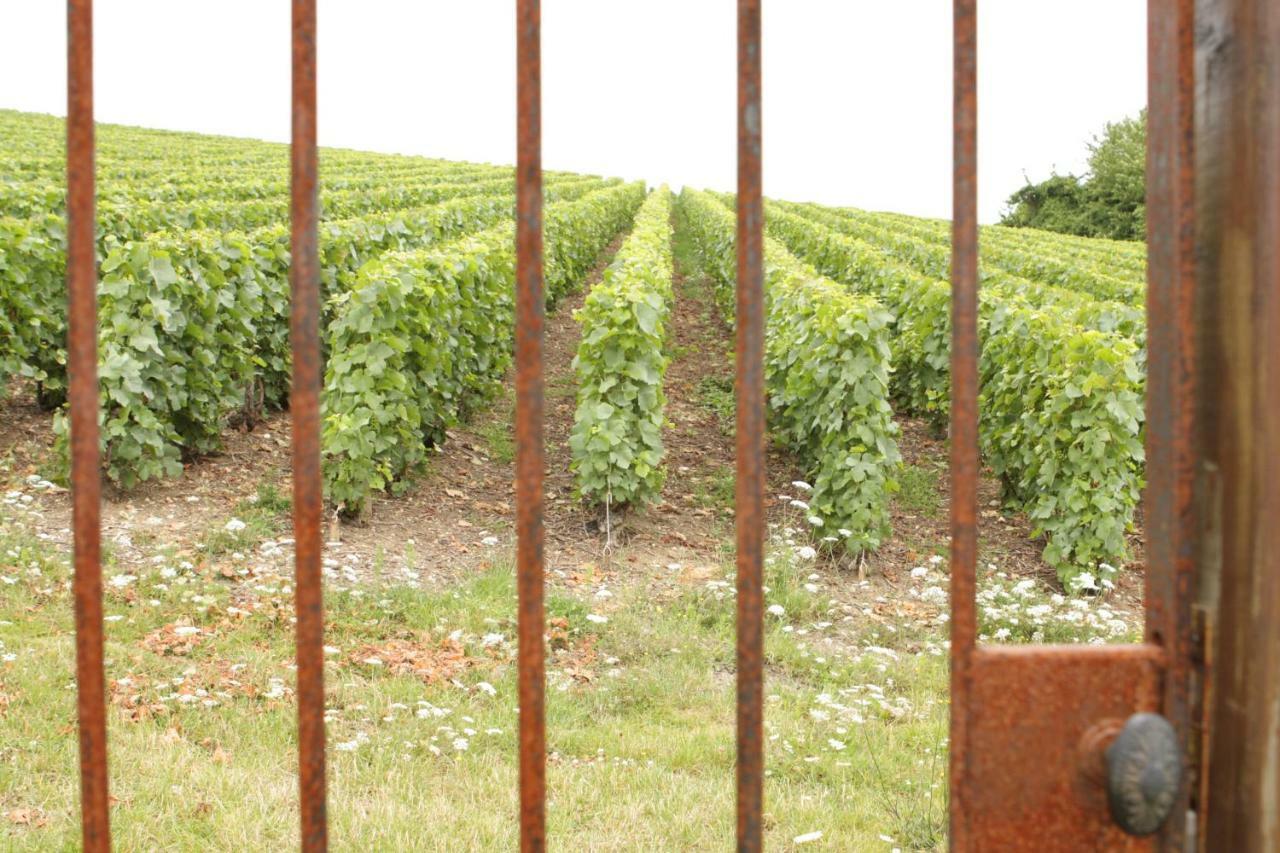 Au Coeur Des Vignes Bed & Breakfast Epernay Exterior photo